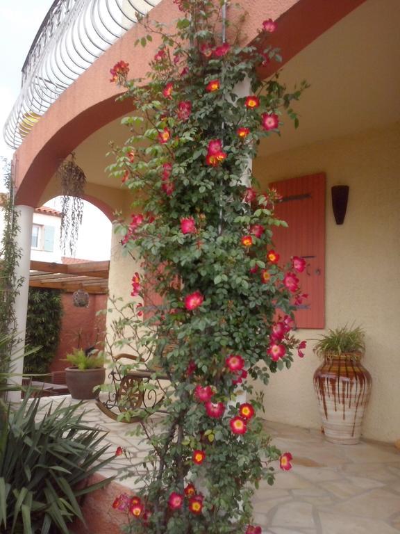 Bed and Breakfast La Gentoliere Pollestres Экстерьер фото